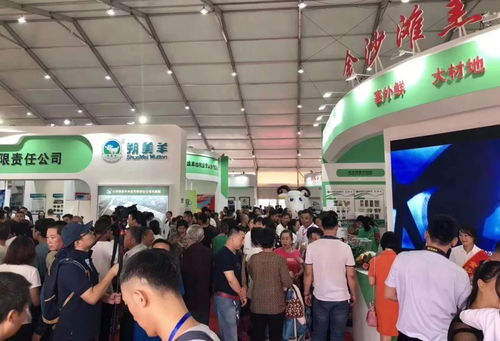 中天羊業榮獲中國十佳羊肉品牌