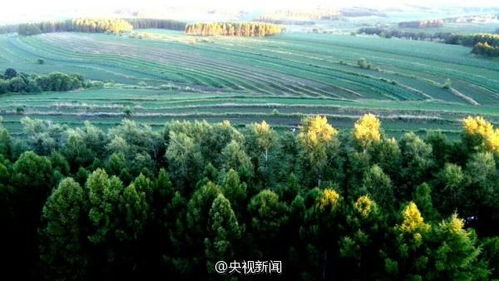 注意 這些行為均屬家暴 八月新規(guī)來(lái)了