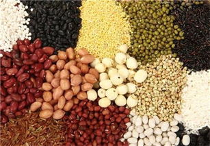 我國(guó)農(nóng)產(chǎn)品期貨市場(chǎng)發(fā)展現(xiàn)狀